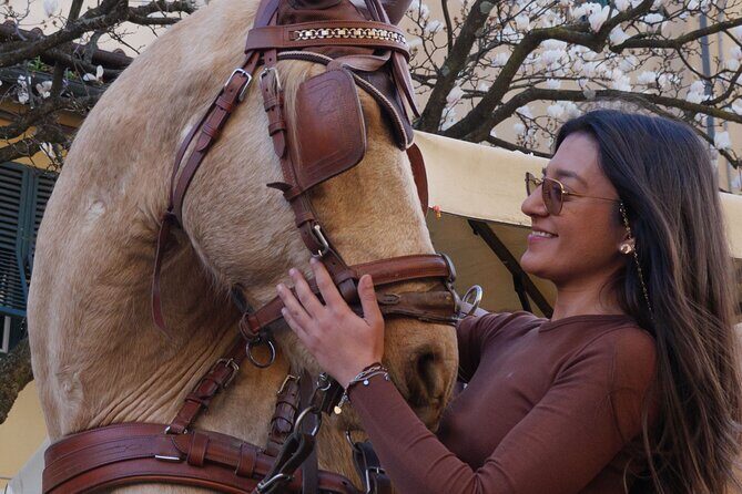1-Hour Carriage Tour – Historic Center and Renaissance Walls - Key highlights you’ll feel right away