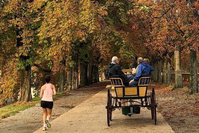 1-Hour Carriage Tour – Historic Center and Renaissance Walls - Starting at Piazza Napoleone: why this location works so well