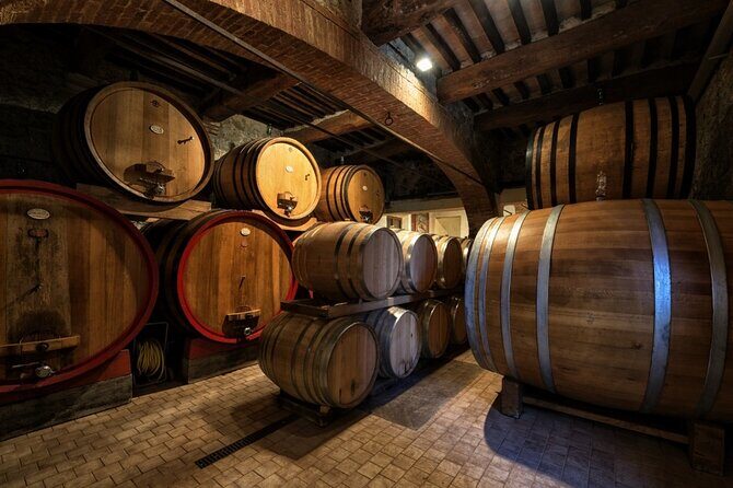 1-Hour Experience with Brunello. Visit to the Vineyard and Cellar - Who this Brunello experience fits best