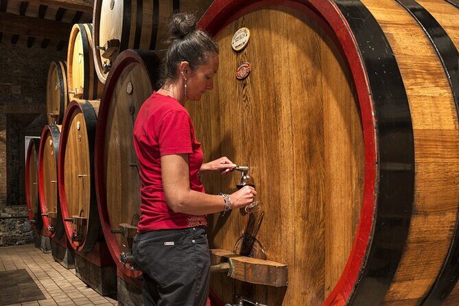 1-Hour Experience with Brunello. Visit to the Vineyard and Cellar - Price and value: what $42.06 buys you in real terms
