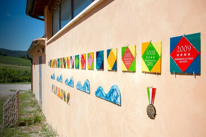 1-Hour Experience with Brunello. Visit to the Vineyard and Cellar - Sangiovese BIO vineyards and the art stops you’ll actually remember