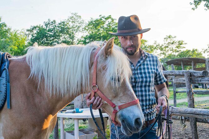 1 hour horseback ride in Valgraziosa Pisa - Horses, Coaching, and What Beginner Support Looks Like