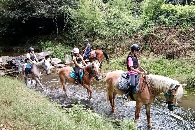 1 hour horseback ride in Valgraziosa Pisa - Getting There: Calci Meeting Point and Optional Pickup