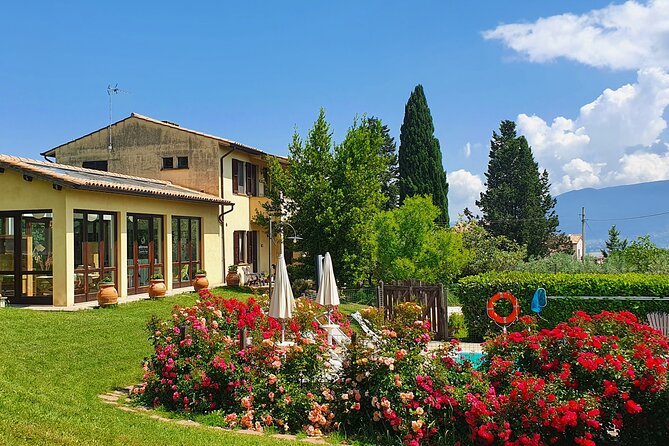 1 Hour Tasting of Artisan Liqueurs in the Umbrian Countryside - Learning to recreate the flavors at home