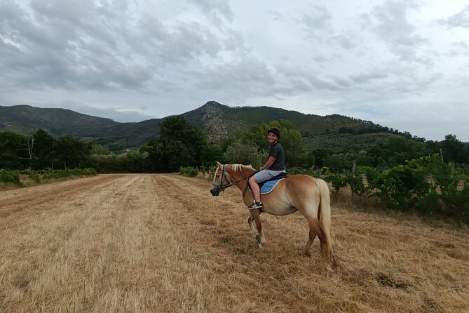 2 hour horseback ride for experts in Valgraziosa (Pisa) - Following the route: streams, towers, estates, and monasteries