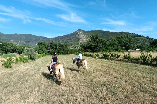 2 hour horseback ride for experts in Valgraziosa (Pisa) - Certosa di Calci and Upezzinghi tower: why these stops matter