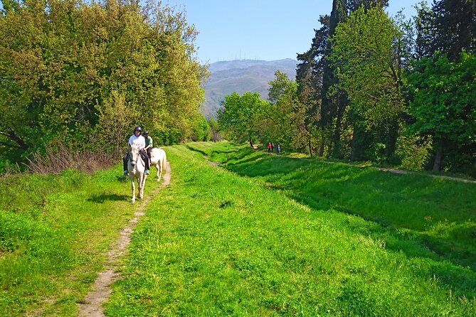 2 hour horseback ride for experts in Valgraziosa (Pisa) - Price and value: is $69.41 worth it?