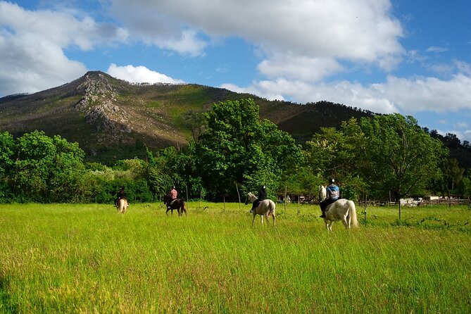 2 hour horseback ride for experts in Valgraziosa (Pisa) - Getting there: Centro Ippico La Cartuja in Calci