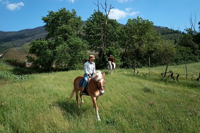 2 hour horseback ride for experts in Valgraziosa (Pisa) - Small group, big attention: what the reviews signal