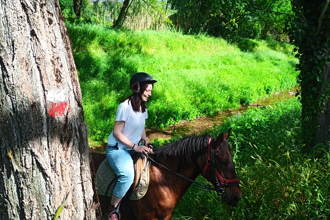 2 hour horseback ride for experts in Valgraziosa (Pisa) - Horses, English riding, and the real skill check