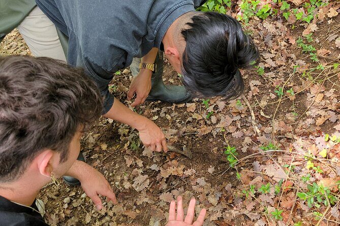 2 hours Private Activity - Truffle hunting in Assisi - Truffle Hunting Near Assisi: A Countryside Walk With Real Rules