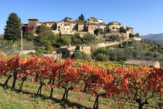 2 wineries Chianti Wine Tasting & Vineyards Walk Private Tour - The drive itself is part of the experience