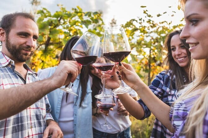 2 wineries Chianti Wine Tasting & Vineyards Walk Private Tour - Your guide, and why the human part matters
