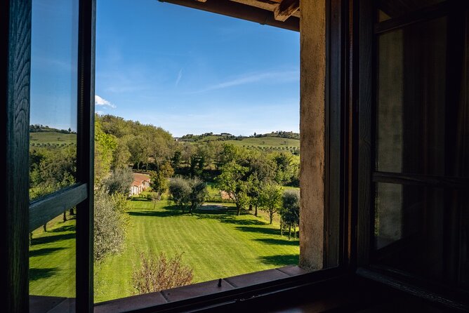 3-day private experience as a winemaker at a wine resort in Tuscany - Should you book this Podere Montale winemaker experience?