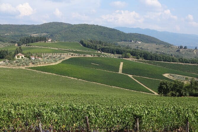 3 Hour Horse Ride to a Castle for Wine Tasting and snack Lunch - Who This Tour Fits Best (And Who Should Think Twice)