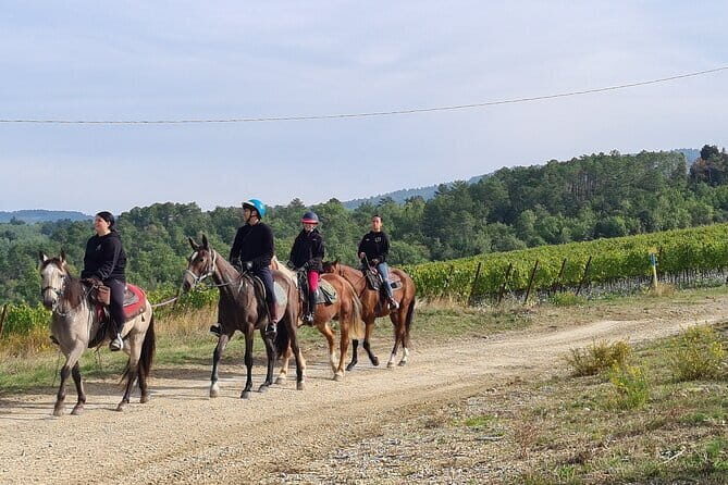 3 Hour Horse Ride to a Castle for Wine Tasting and snack Lunch - The Medieval Estate Stop: Touring Castle Rooms Before the Tasting