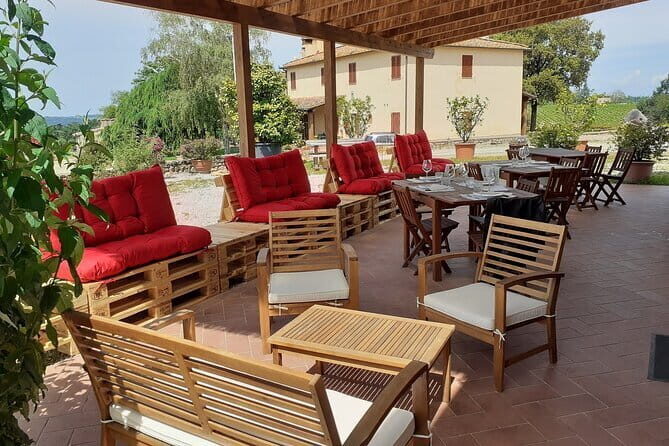 4 Wines & 2 Olive Oils Tasting in Chianti Winery with Tour - The optional vineyard walk: matching vines to the wines you drank