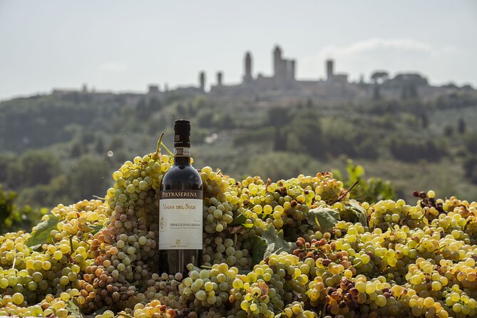 5 Wine Tastings in San Gimignano - The guide experience: what you’ll learn and what to ask for