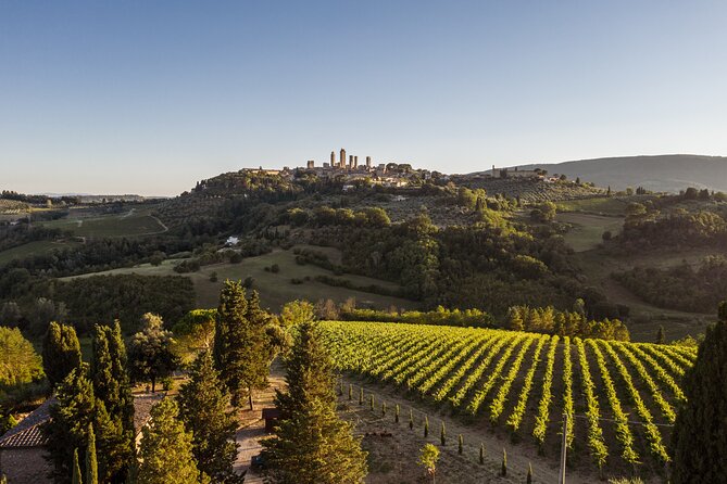 5 Wine Tastings in San Gimignano - The tasting menu: bruschetta, cheese, prosciutto and salami, cantucci