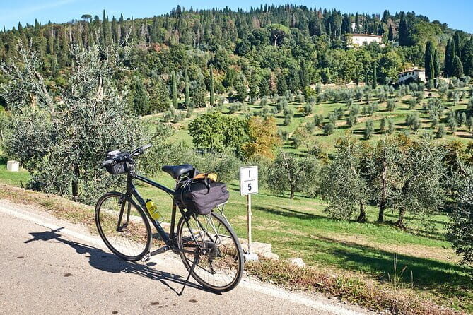 Active Full Day Tuscan Bike Tour With Wine Tasting and Lunch - Key Things You’ll Notice
