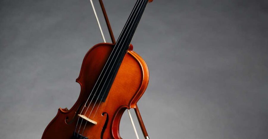 Afternoon Access to Accademia Gallery: David & Stradivarius - Finding the Meeting Point (and Avoiding the Usual Panic)