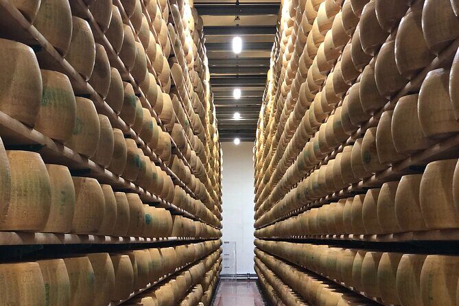 All In: Lambo,Ferrari,Balsamic,Wine, Parmigiano, PrivateTransport - Gavioli Antica Cantina: wine museum, cellars, and three tastes