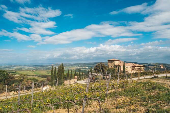 Aperitif on the Terrace of Podere Montale at Sunset - What you’re really buying for $46