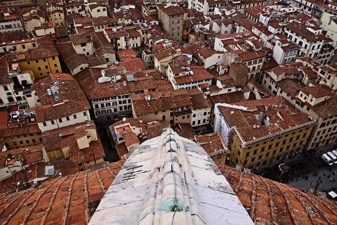 Architectural Florence: Private Tour with a Local Expert - Palazzo Pitti and a Villa Gardens View: Medici Grandeur Outside the Lines