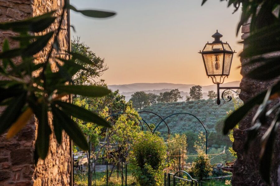 Assisi: 3-hours private tour including St. Francis Basilica - Basilica of Saint Francis: frescoes, tomb, UNESCO importance