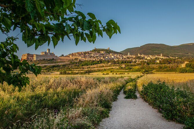 Assisi: 3-hours tour including St. Francis Basilica tickets - Where to stand out (and where not to) during the stops