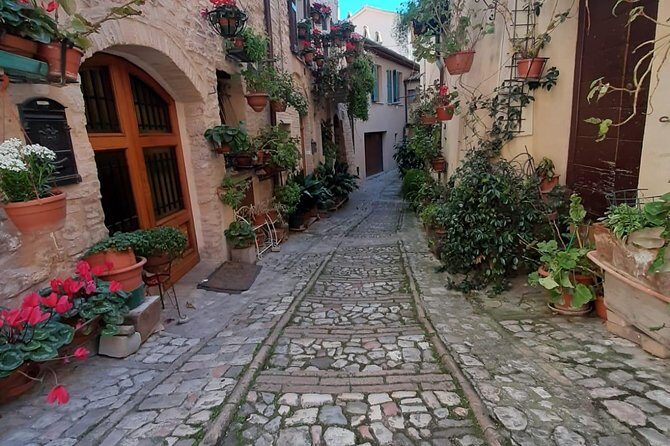 Assisi and Spello Full Day Private Walking Tour - Spello Old Streets: Flower Decor and Pinturicchio-Linked Art