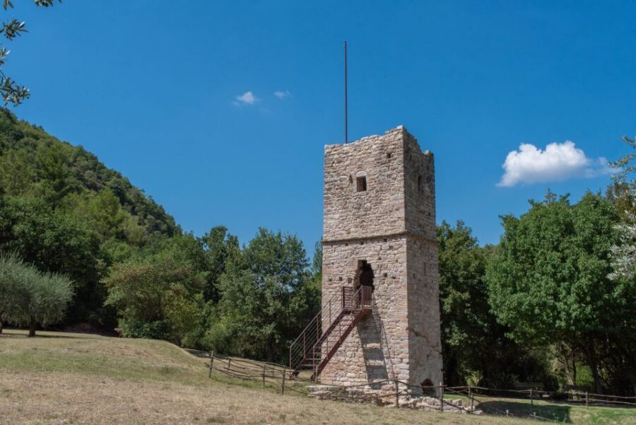 Assisi: Bosco di San Francesco Entry Ticket - The woods and silence near the Basilica of St Francis