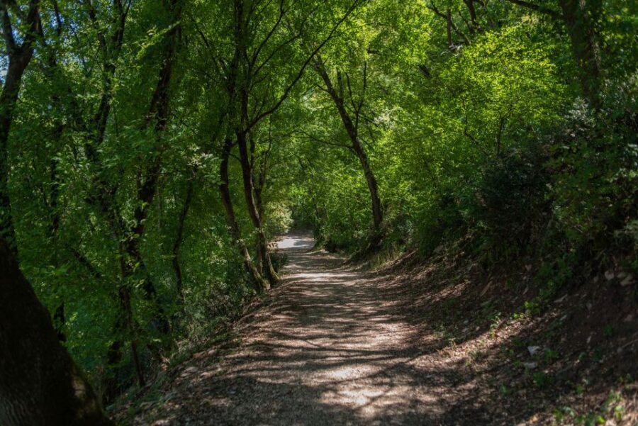 Assisi: Bosco di San Francesco Entry Ticket - What to bring (since no food is included)