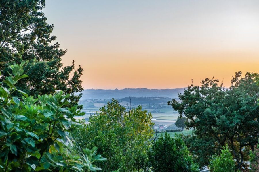 Assisi by driver and guide. Panoramic and Historical tour - Key moments worth showing up for