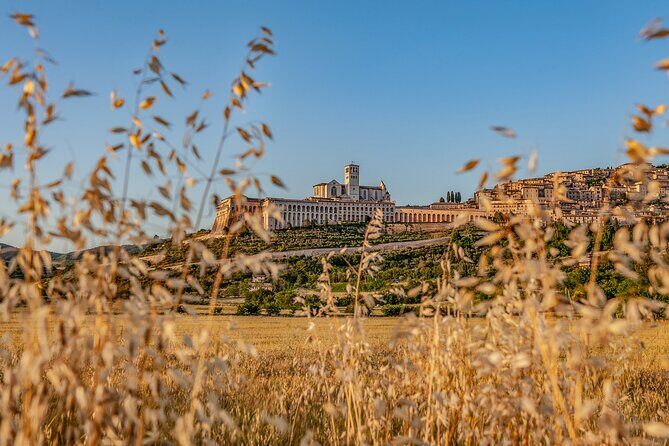 Assisi on the Footsteps of St. Francis and Carlo Acutis - Key highlights to look for