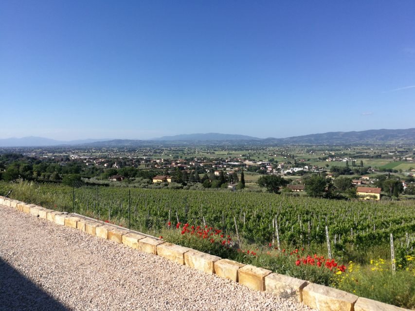 Assisi: Organic Balsamic Vinegar, Olive Oil & Wine Tour - Why this Assisi organic vinegar and wine tour works so well