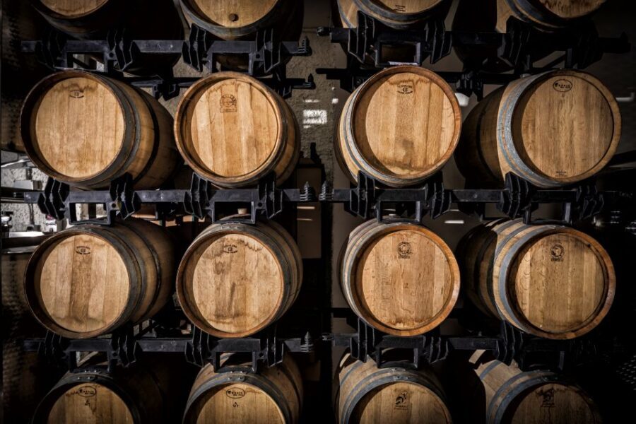 Assisi: Organic Wine and Cheese Tasting - The host and the vibe: Maria, the Tili family, and real questions