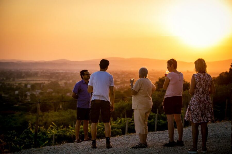 Assisi: Organic Winery Tour with Tastings & Typical Food - Key highlights I’d target on this Assisi organic winery tour