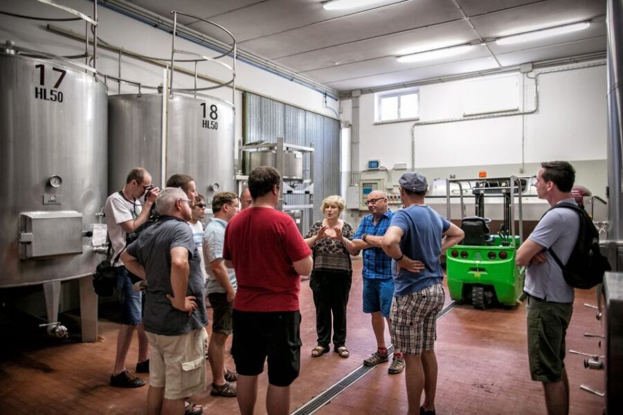 Assisi: Organic Winery Tour with Tastings & Typical Food - Who will love this tour (and who might want another option)