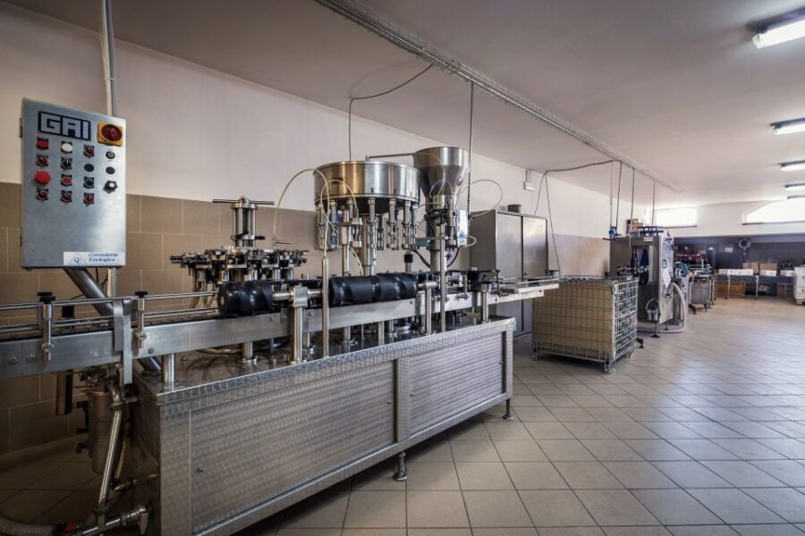 Assisi: Organic Winery Tour with Tastings & Typical Food - Why an organic Assisi winery tour feels different than a standard tasting