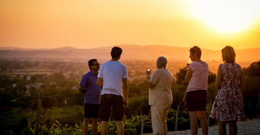 Assisi: Organic Winery Tour with Tastings & Typical Food - The guided winery visit: from vineyard choices to bottles