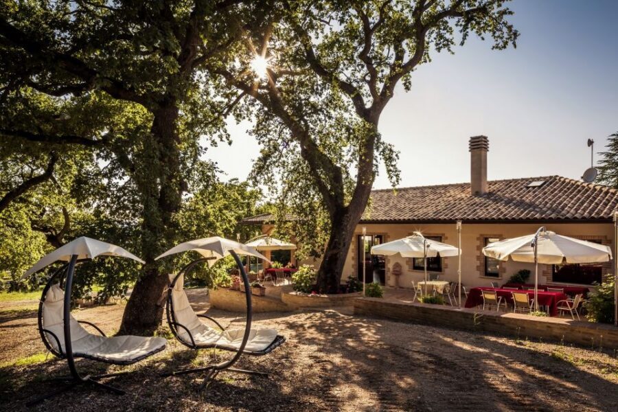 Assisi: Organic Winery Tour with Tastings & Typical Food - Food pairing that actually tastes local: bruschetta, salami, cheeses, jams, balsamic