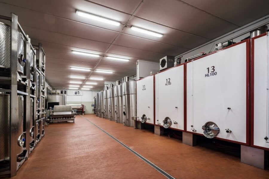 Assisi: Organic Winery Tour with Tastings & Typical Food - Assisi DOC and Olio EVO: what you can take home
