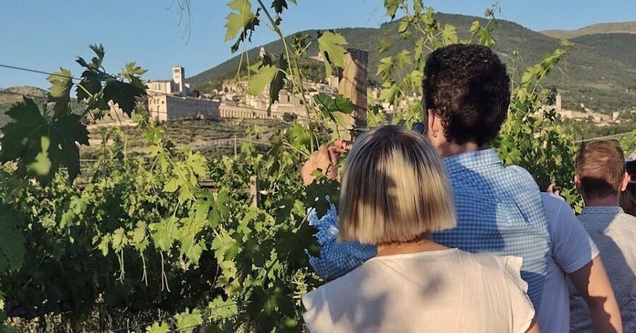 Assisi: Wine tasting, gourmet pairing, walk in the vineyards - Key things to know before you go