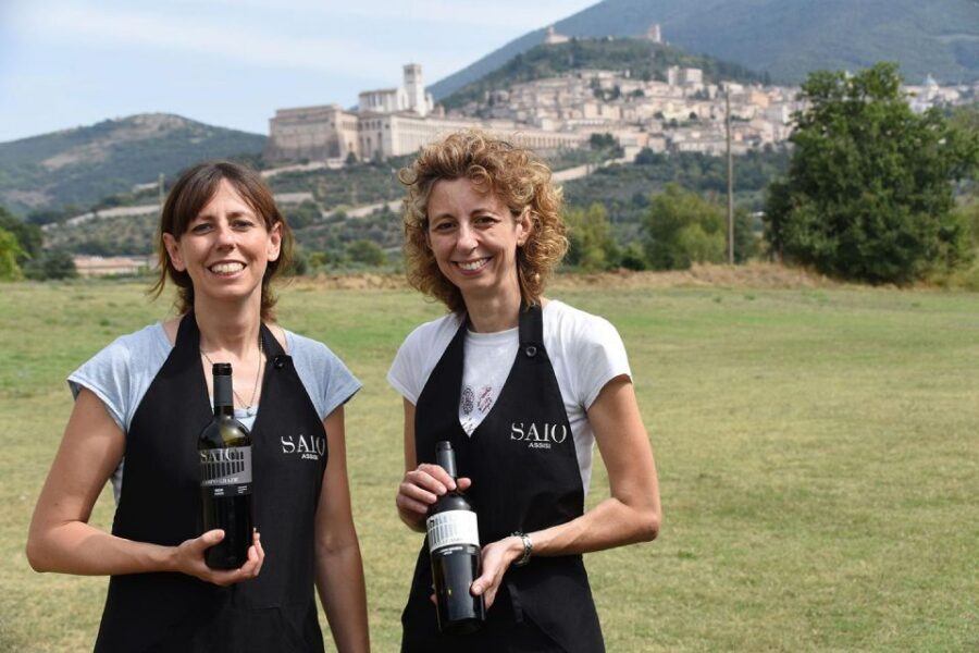 Assisi: Wine tasting, gourmet pairing, walk in the vineyards - The vineyard walk: what you’ll do in 90 minutes