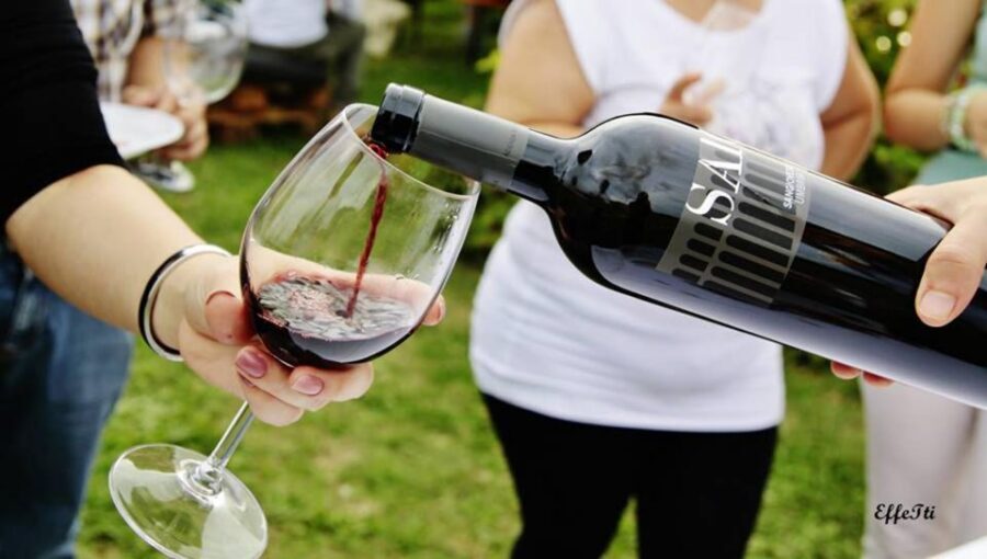 Assisi: Wine tasting, gourmet pairing, walk in the vineyards - What to do with your time after: keep the momentum in Assisi
