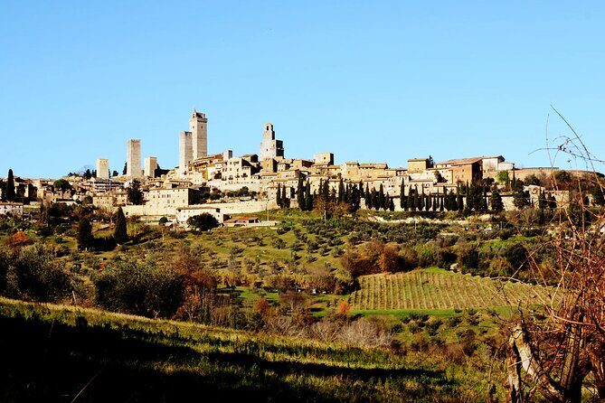 Authentic Tuscan Cooking Class & Winery Tour in San Gimignano - Why this San Gimignano cooking class feels like real Tuscany