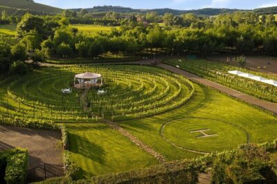 Best Winery with Restaurant and wine tasting from Florence - Chigi Tower Terrace Lunch: The Part You’ll Remember