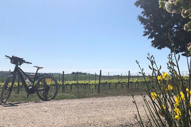 Bike Ride immersion val d'Orcia - Stops that turn a bike ride into a full day: Panos-style flexibility