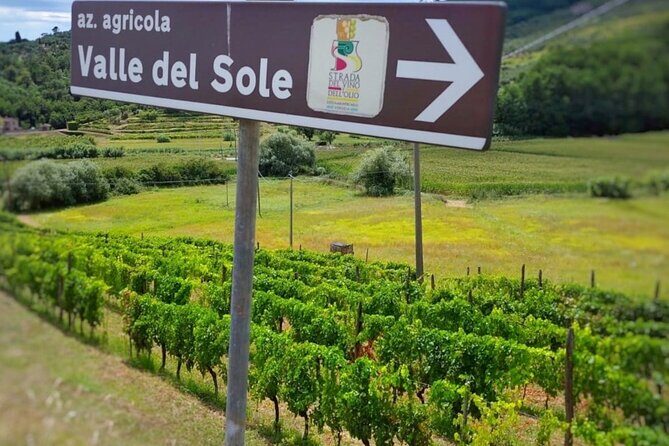 Bike Ride & WIne Tasting - Who This Tour Suits Best (And Who Might Skip It)